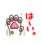 猫の手でスタンプ！(日本語バージョン)（個別スタンプ：13）