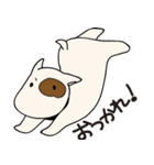 うまごん（個別スタンプ：5）