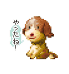 ドットあにまる（個別スタンプ：5）
