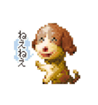 ドットあにまる（個別スタンプ：6）
