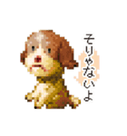 ドットあにまる（個別スタンプ：7）