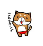 赤パン柴犬（個別スタンプ：1）