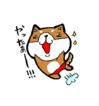 赤パン柴犬（個別スタンプ：5）