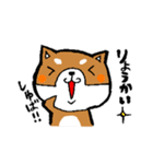 赤パン柴犬（個別スタンプ：6）