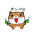 赤パン柴犬（個別スタンプ：8）