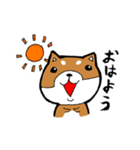赤パン柴犬（個別スタンプ：11）