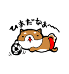赤パン柴犬（個別スタンプ：12）
