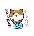 赤パン柴犬（個別スタンプ：13）