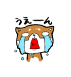 赤パン柴犬（個別スタンプ：16）