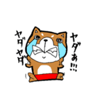 赤パン柴犬（個別スタンプ：17）