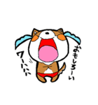 赤パン柴犬（個別スタンプ：20）