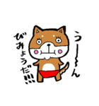 赤パン柴犬（個別スタンプ：21）