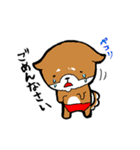 赤パン柴犬（個別スタンプ：24）