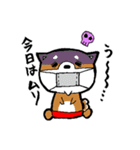 赤パン柴犬（個別スタンプ：29）