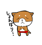 赤パン柴犬（個別スタンプ：33）