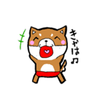 赤パン柴犬（個別スタンプ：34）