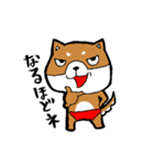 赤パン柴犬（個別スタンプ：37）