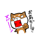 赤パン柴犬（個別スタンプ：38）