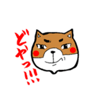 赤パン柴犬（個別スタンプ：39）