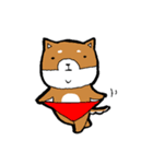 赤パン柴犬（個別スタンプ：40）