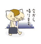 前髪の生えたねこ②（個別スタンプ：19）