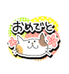 からふるねこ（個別スタンプ：13）