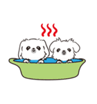 でしでふペキニーズ（個別スタンプ：39）