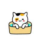 マコねこ（個別スタンプ：18）