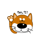 柴犬たろうでござる（個別スタンプ：40）