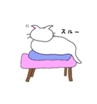 白猫のハク（個別スタンプ：14）