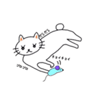 白猫のハク（個別スタンプ：30）
