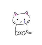 白猫のハク（個別スタンプ：34）