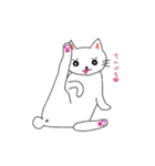 白猫のハク（個別スタンプ：37）