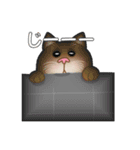 猫のりん君（個別スタンプ：5）