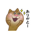 猫のりん君（個別スタンプ：27）