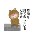 猫のりん君（個別スタンプ：30）