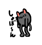 猫玉スタンプ（個別スタンプ：23）