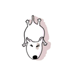 Arron the Bull Terrier（個別スタンプ：39）