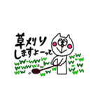 ゆるかわネコの伊藤さん。（個別スタンプ：16）