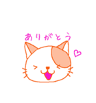 いつも猫（個別スタンプ：1）