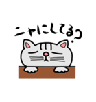 手書きねこ(ニャン語？)（個別スタンプ：33）