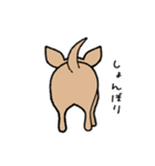 チワワ（犬）スタンプ（個別スタンプ：4）