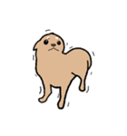 チワワ（犬）スタンプ（個別スタンプ：7）