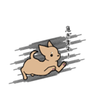 チワワ（犬）スタンプ（個別スタンプ：10）