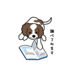 チワワ（犬）スタンプ（個別スタンプ：11）