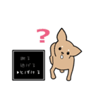 チワワ（犬）スタンプ（個別スタンプ：13）