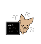 チワワ（犬）スタンプ（個別スタンプ：15）