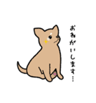 チワワ（犬）スタンプ（個別スタンプ：18）