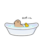 チワワ（犬）スタンプ（個別スタンプ：19）