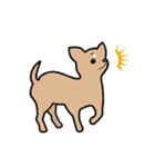 チワワ（犬）スタンプ（個別スタンプ：22）